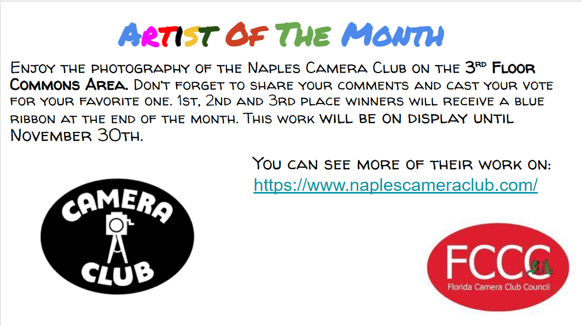 January Artist of the Month - Naples Camera Club